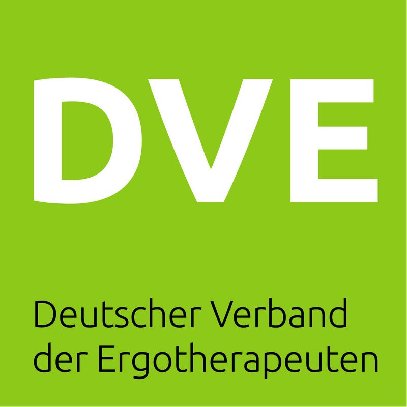 DVE Logo